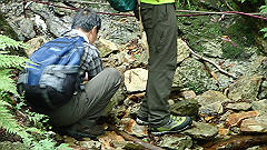 p7160183_thumb.jpg