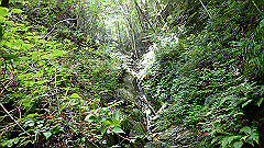 p7160185_thumb.jpg