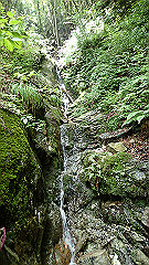 p7160186_thumb.jpg