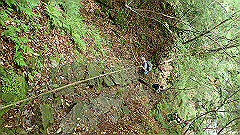 p7160195_thumb.jpg