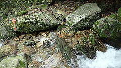 p7160207_thumb.jpg