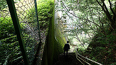 p7160211_thumb.jpg