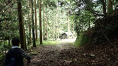 p7160217_thumb.jpg