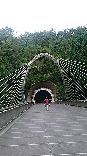 dsc_0187_thumb.jpg