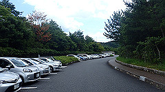 p7290281_thumb.jpg