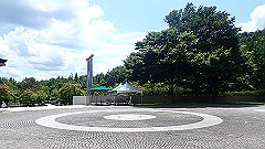 p7290290_thumb.jpg