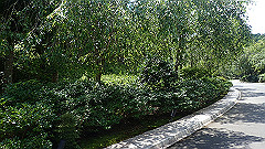 p7290295_thumb.jpg