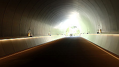 p7290298_thumb.jpg