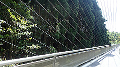 p7290300_thumb.jpg