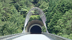 p7290303_thumb.jpg