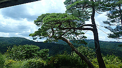 p7290315_thumb.jpg