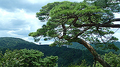 p7290316_thumb.jpg
