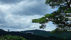 p7290319_thumb.jpg