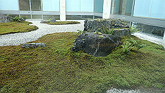 p7290325_thumb.jpg