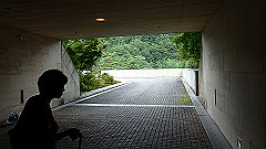 p7290331_thumb.jpg