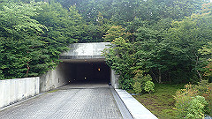 p7290333_thumb.jpg