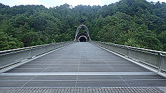 p7290336_thumb.jpg