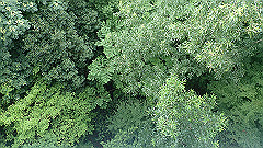 p7290337_thumb.jpg