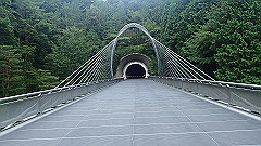 p7290339_thumb.jpg