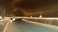 p7290346_thumb.jpg