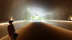 p7290351_thumb.jpg