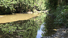 img_5626_thumb.jpg
