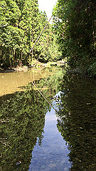 img_5627_thumb.jpg