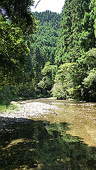 img_5628_thumb.jpg