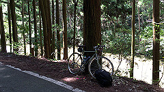 img_5644_thumb.jpg