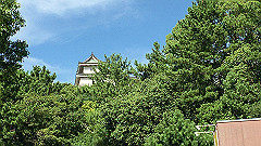 img_5666_thumb.jpg