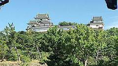 img_5668_thumb.jpg