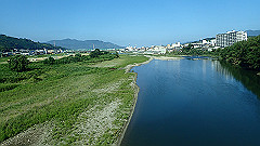 p8100012_thumb.jpg