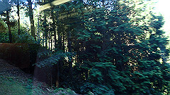 p8100019_thumb.jpg