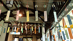 p8100023_thumb.jpg