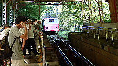 p8100026_thumb.jpg