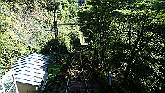 p8100036_thumb.jpg