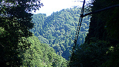 p8100038_thumb.jpg