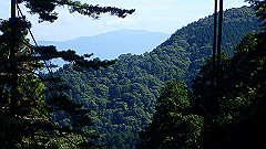 p8100039_thumb.jpg