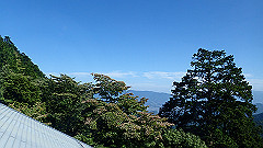 p8100040_thumb.jpg