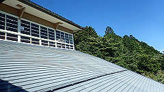 p8100041_thumb.jpg