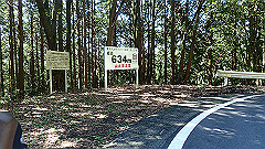 p8100056_thumb.jpg