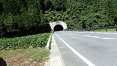 p8100070_thumb.jpg