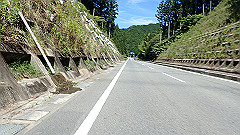 p8100074_thumb.jpg