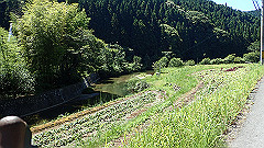 p8100080_thumb.jpg