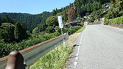 p8100082_thumb.jpg