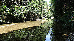 p8100093_thumb.jpg