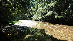 p8100094_thumb.jpg