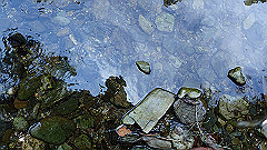 p8100095_thumb.jpg