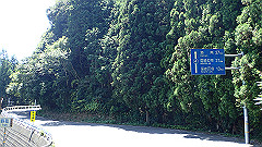 p8100109_thumb.jpg