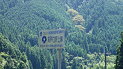 p8100110_thumb.jpg